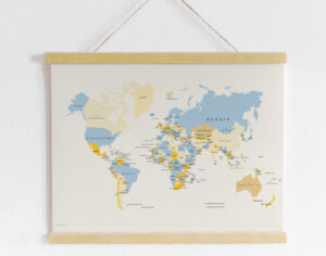 Pin World Map *OUTLET*